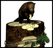 beaver_sitting_treetrunk_lg_wht.gif